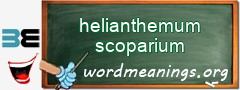 WordMeaning blackboard for helianthemum scoparium